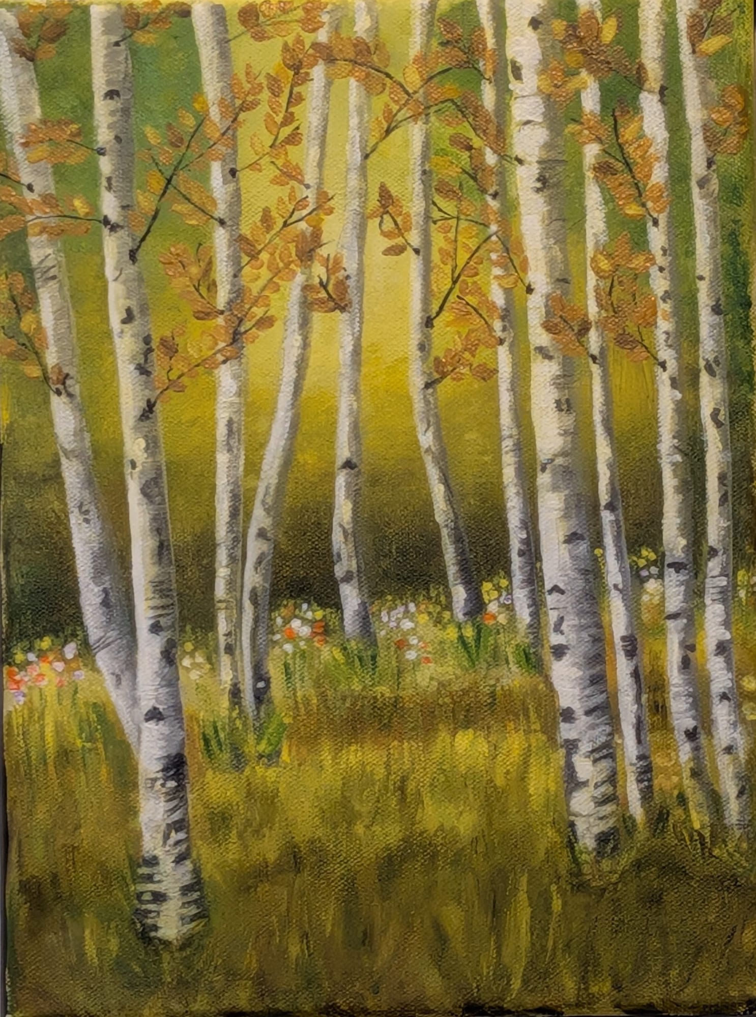 Birch Grove