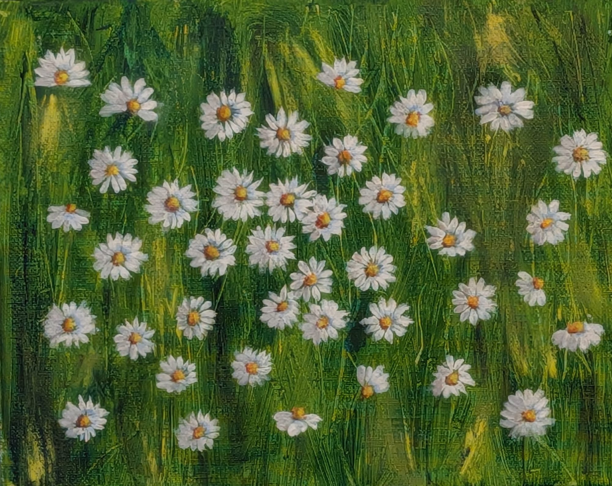 Daisies