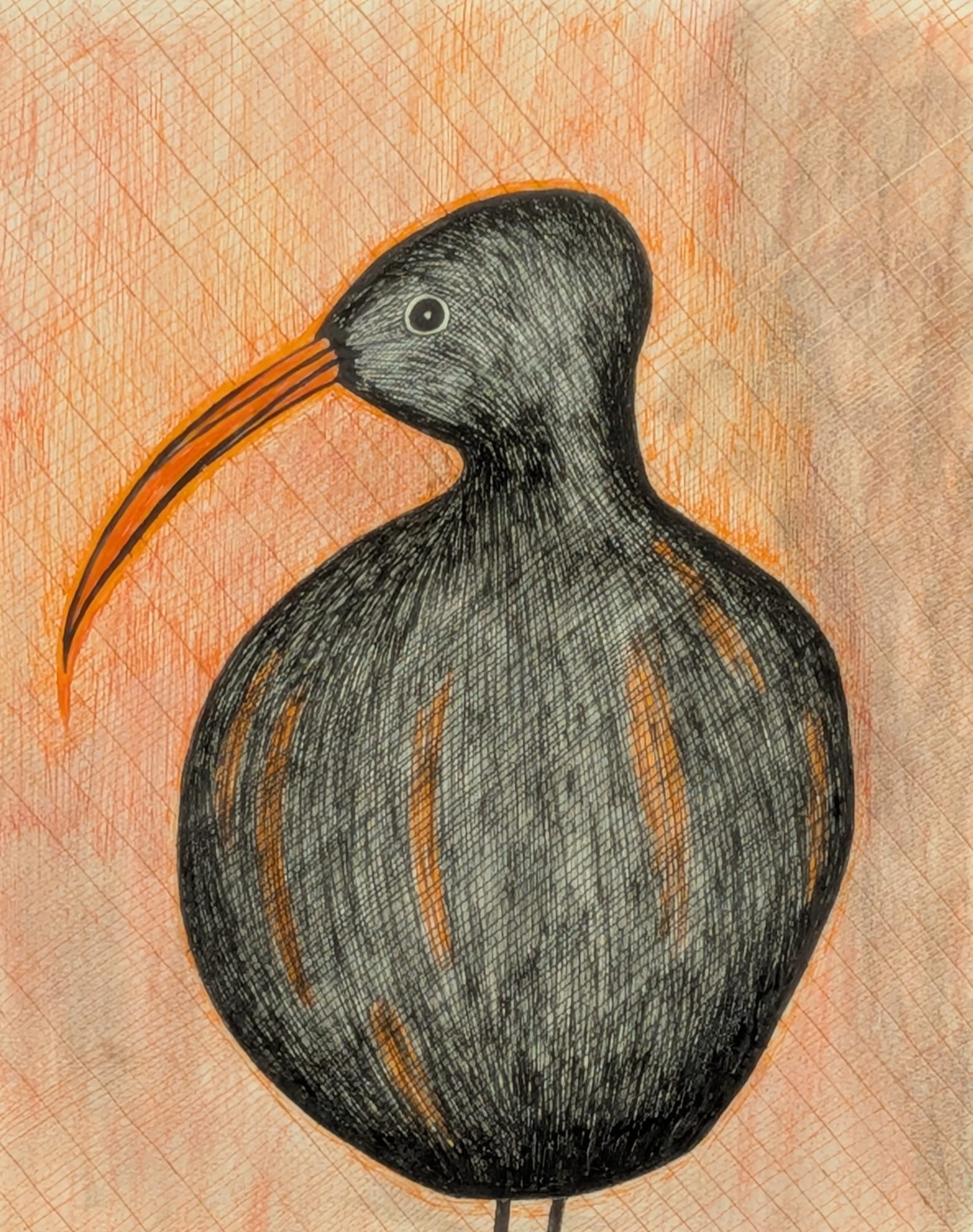 Kiwi
