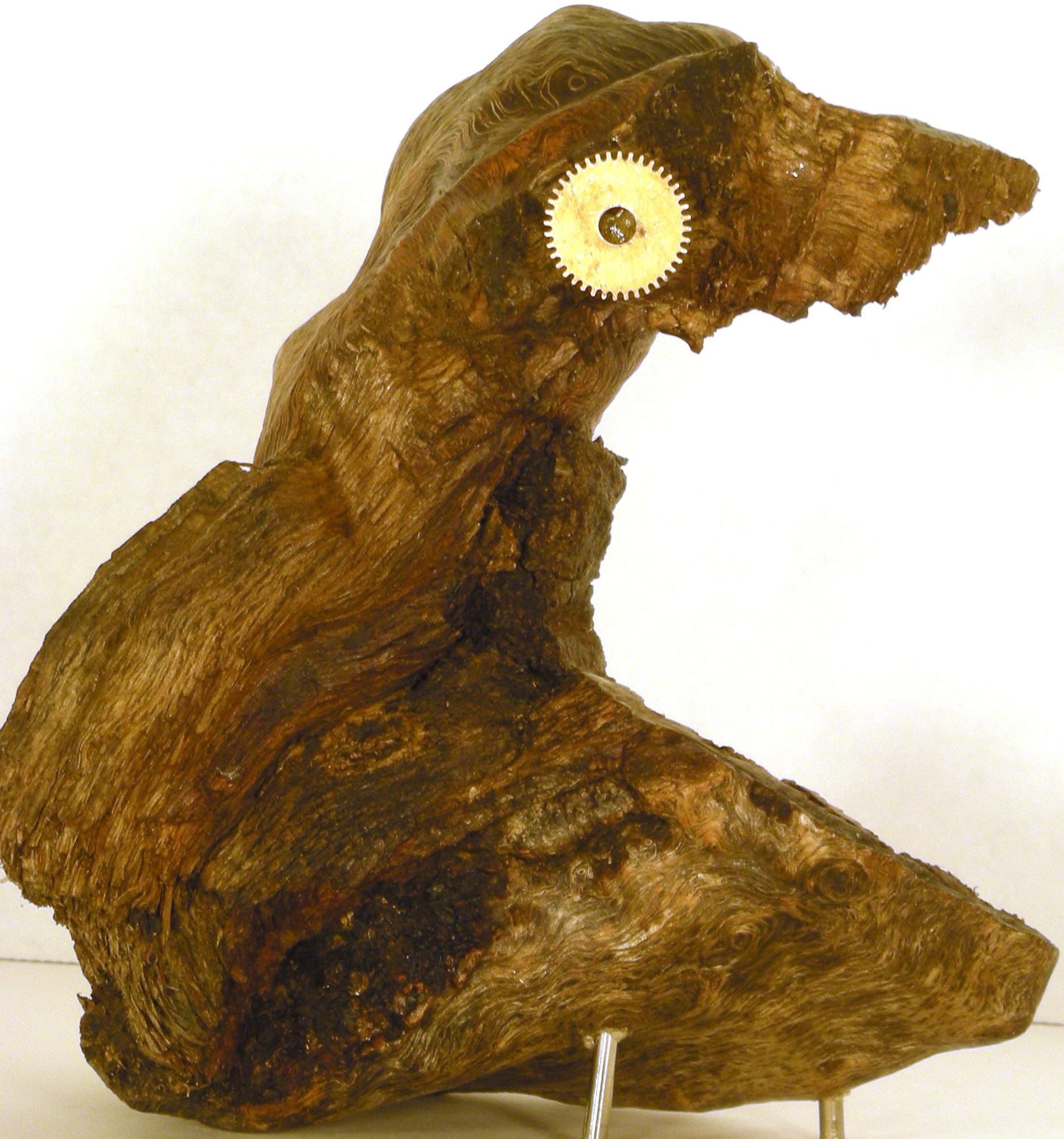 Prehistoric Knothead
