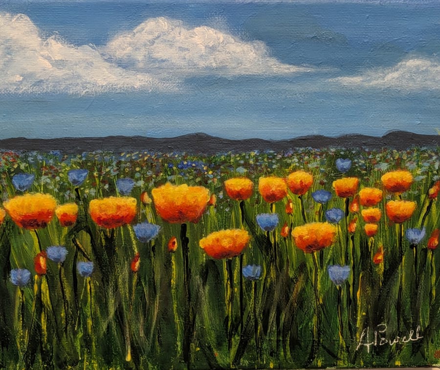 Colorado Meadow