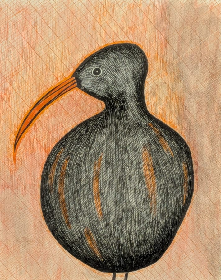Kiwi